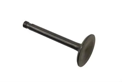 18071-48 Old 163-48 Intake Valve Nitride 1