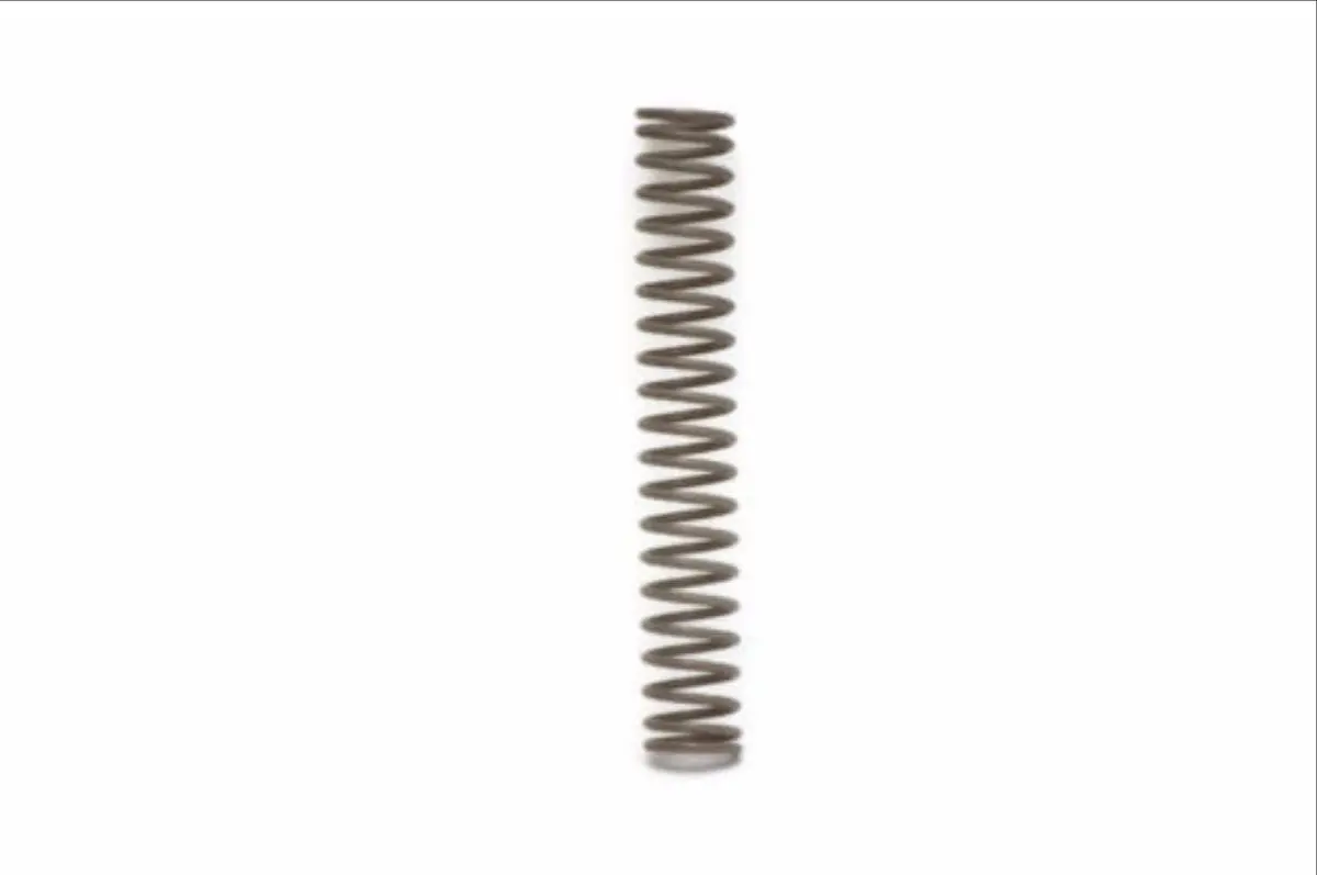 31440-65 Plunger Return Spring 1