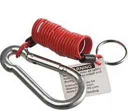 6' "Zip" Coiled Cable Only 1
