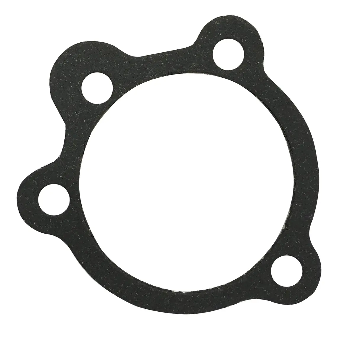 29058-77 Air Cleaner Gasket 1