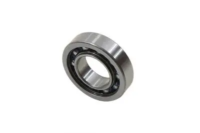9037 Inner Primary Chain Housing Support Bearing 1