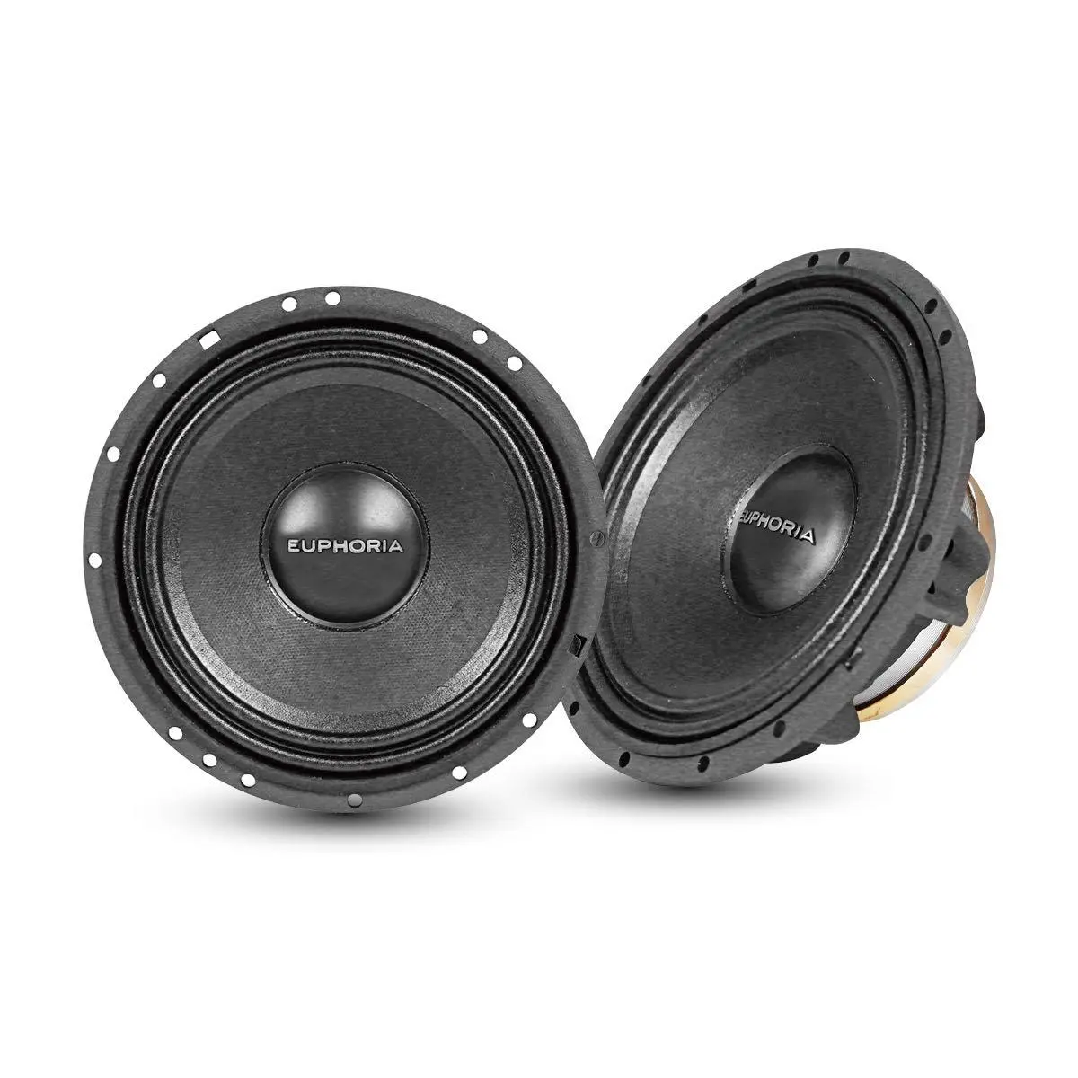 Euphoria 6.5" 350 Watt Midrange With Neo Magnet (Epm65n) 1