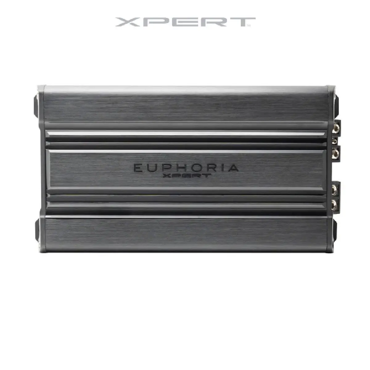 Xpert 3000 Watts @ 1 Ohm Rms Mini Amplifier (Ex3000.1) 1