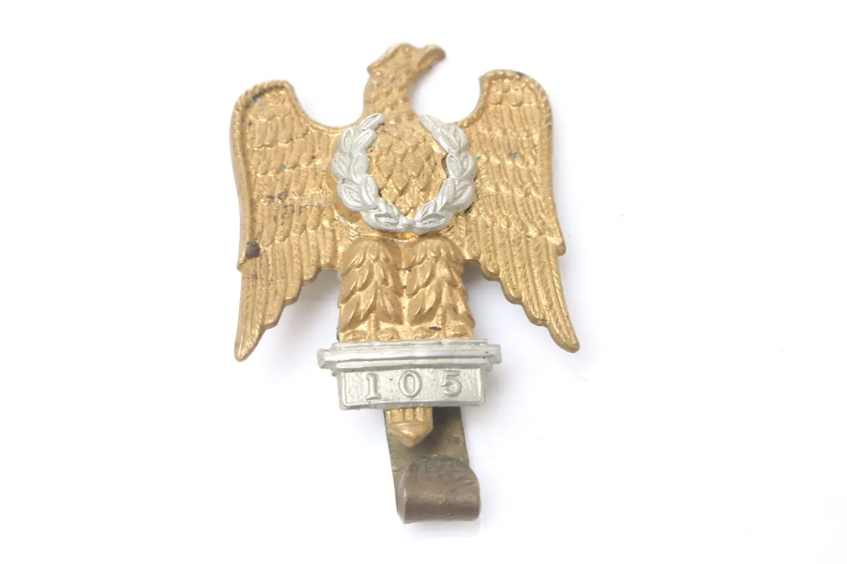 1St Royal Dragoons 105 Cap Badge 1
