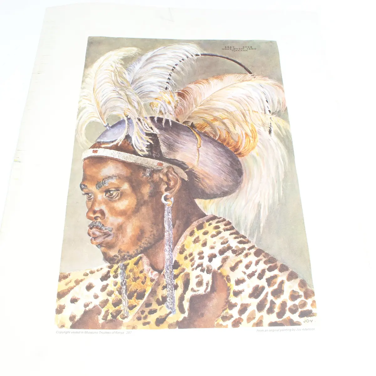 Old Joy Adamson Print Of African Tribes Person 1