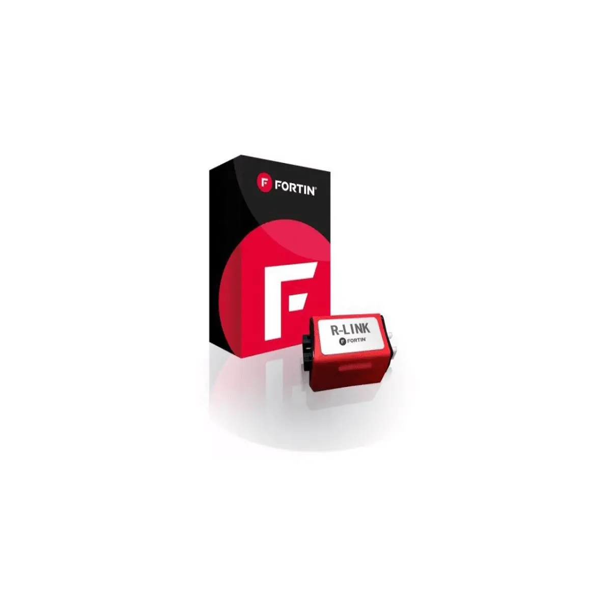 Fortin Programming Tool (Rlink) 1