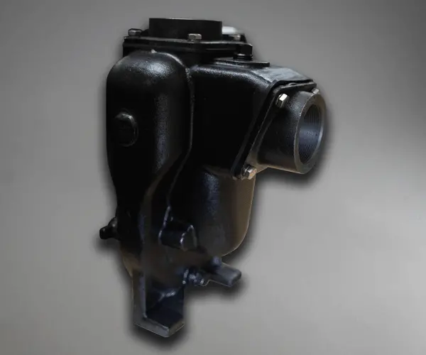 Hypro Fuel Pump 1