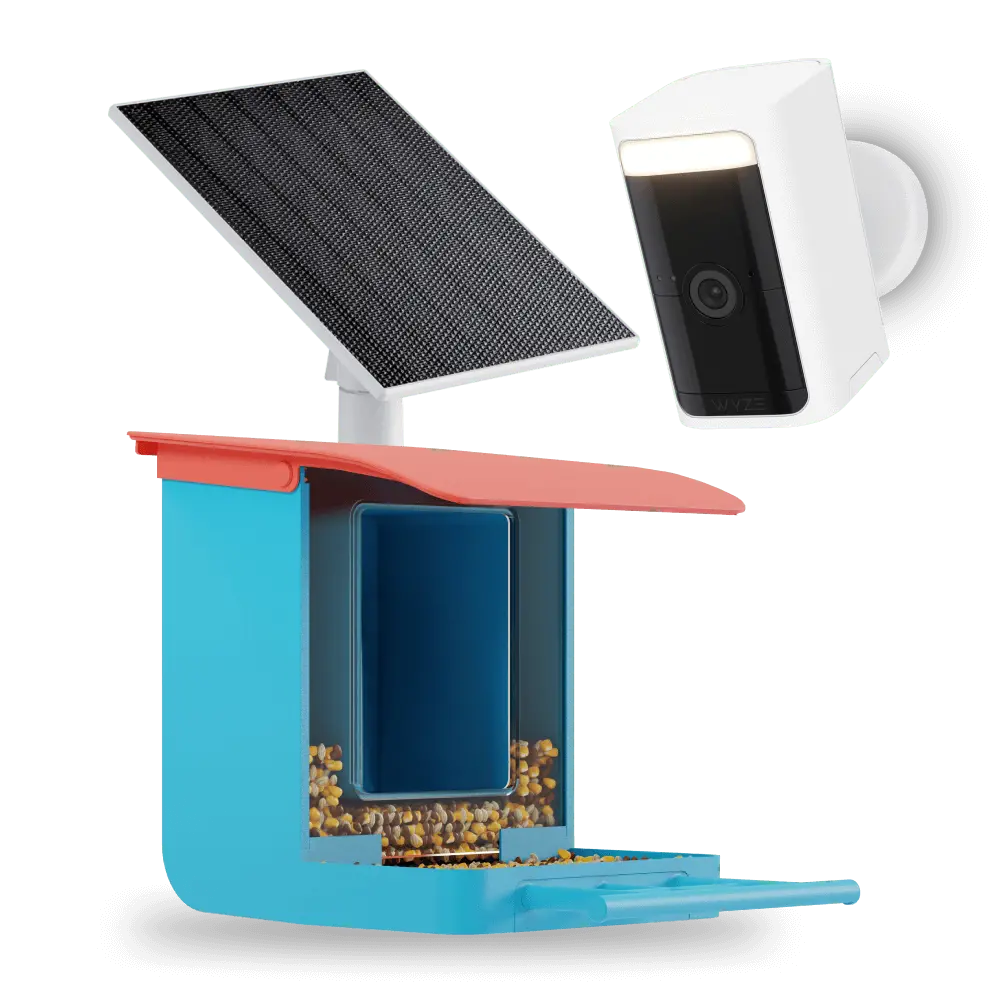 Bird Feeder Wireless Camera Bundle 1