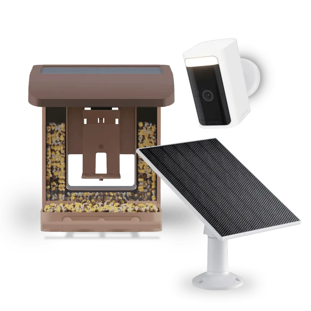 Bird Feeder Wireless Camera Bundle 1