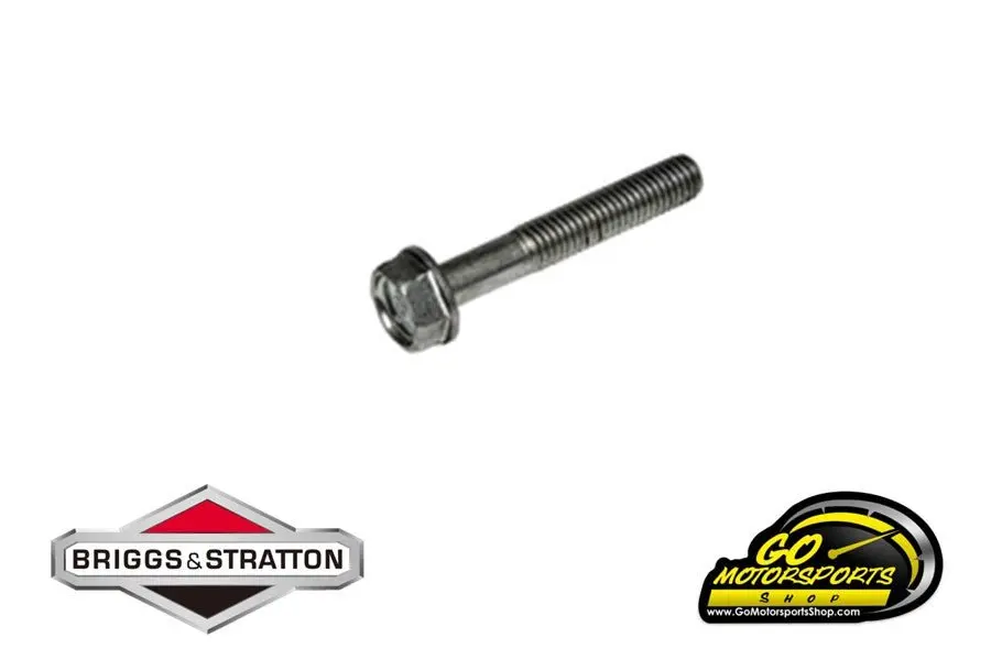 Crankcase Cover Bolt | Bandolero 1