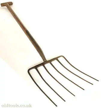 Beet / Stone Fork 1