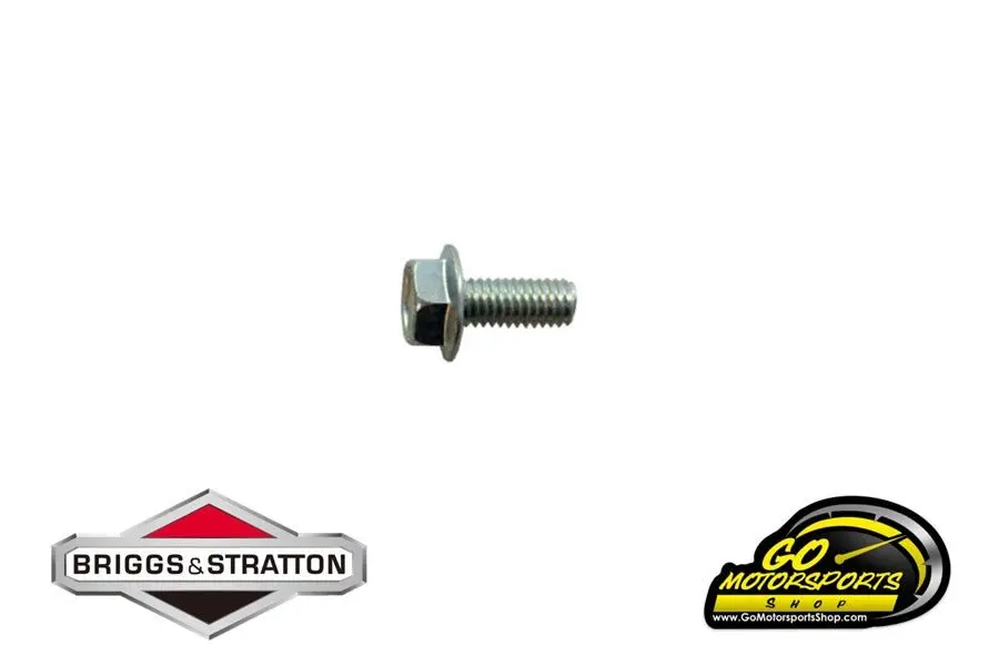 Fuel Pump / Air Filter Bracket Screw | Bandolero 1