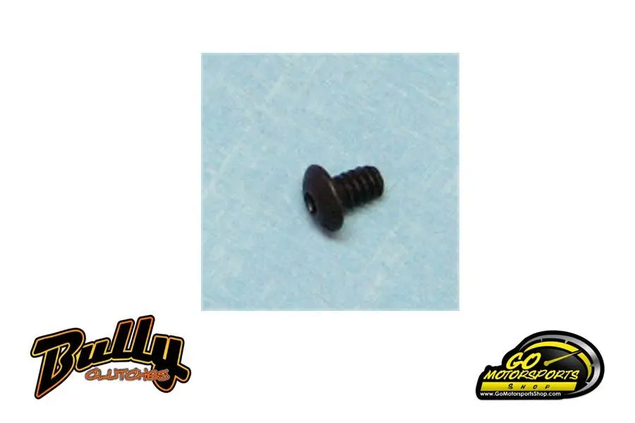 Go Kart | Bully Clutch Parts - Retaining Ring Screw (Zn-93724) 1