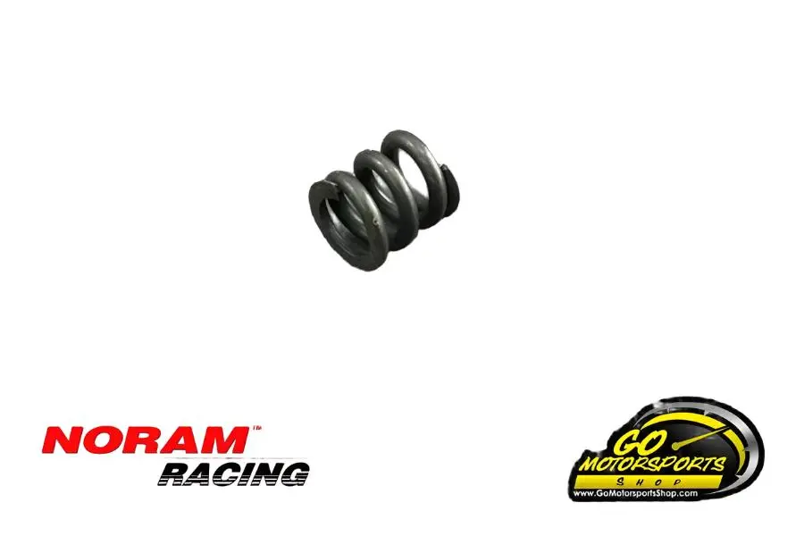 Go Kart | Noram Cheetah Clutch #35 Chain - Parts - Spring 1