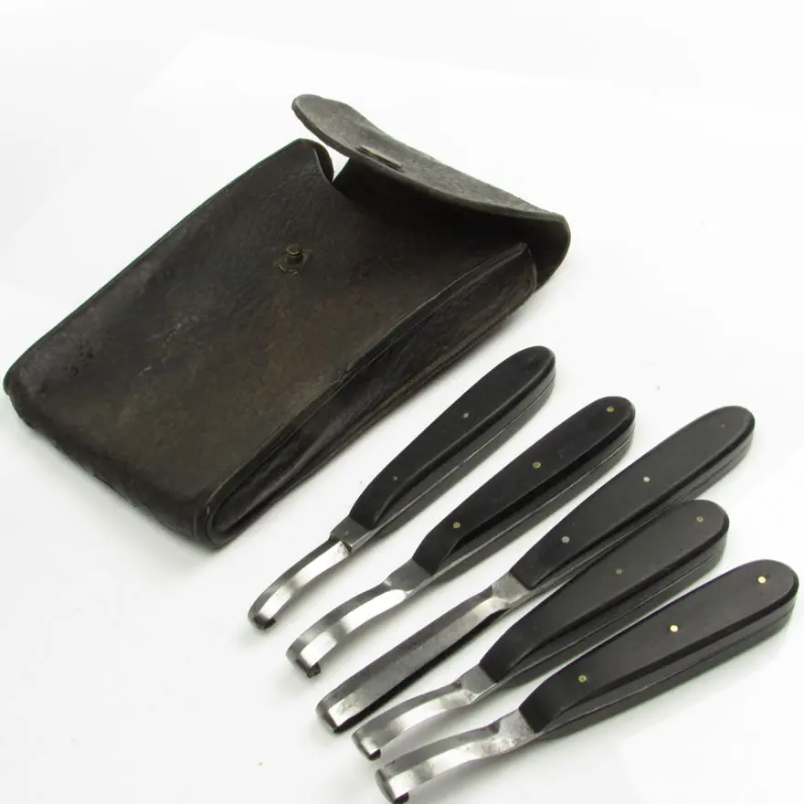 5X Veterinary Hook Shaves - England, Wales, Scotland Only 1