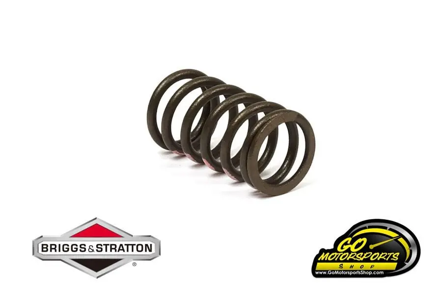 Valve Spring (Pink) | Bandolero 1
