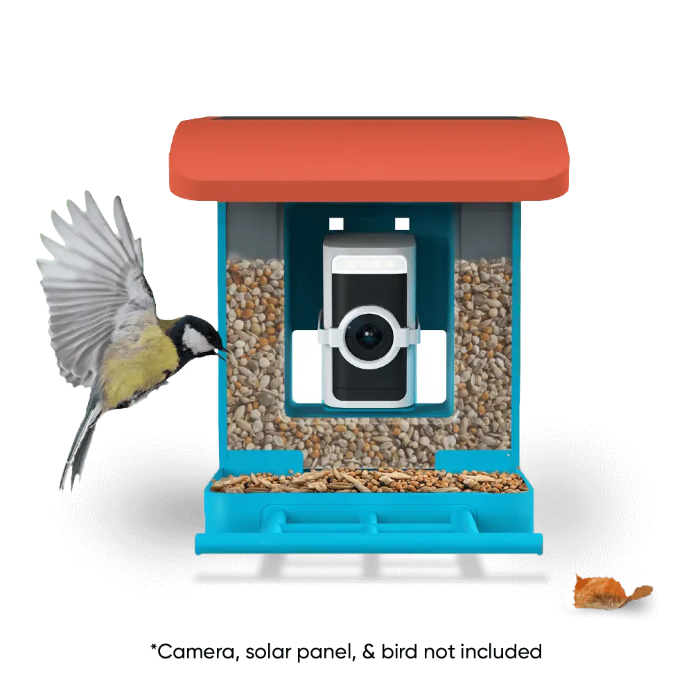 Wyze Bird Feeder 2