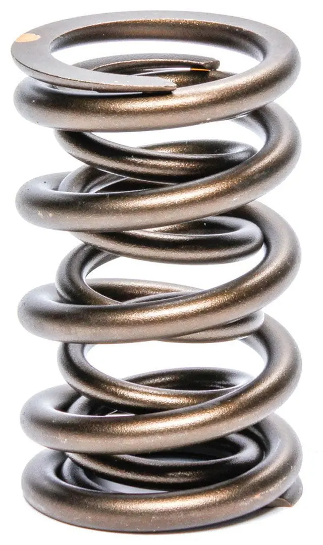 Pac Racing Dual Valve Spring Kit - High-Lift Compatibility For Performance Heads 1