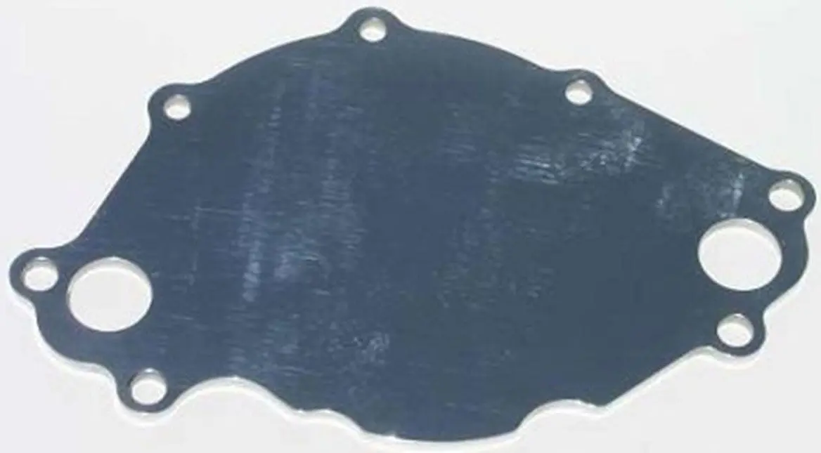 Polished Small Block Ford 5.0L Backing Plate – Mzwp113U 1
